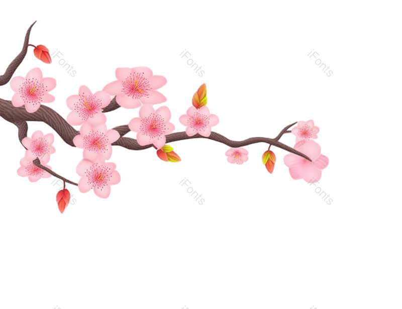 粉红色的花图片,白色背景元素,樱花PNG,灰色背景免抠素材